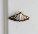 P6240043