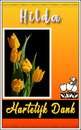 Tulpen